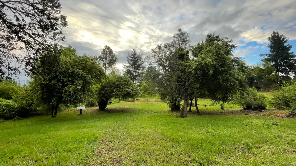 Praderas y bosque de Andes Extremo
