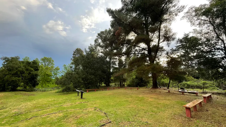 Árboles y prados del parque